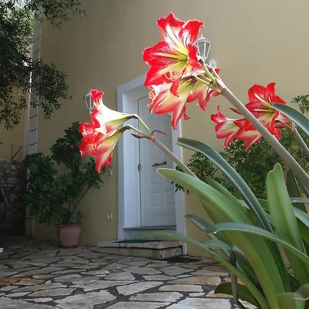 Sunrise Luxury Casa de Férias